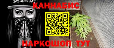 ALPHA PVP Пугачёв